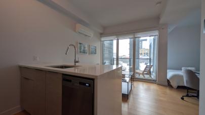 maison à vendre Montréal (Ville-Marie) Rive-Nord