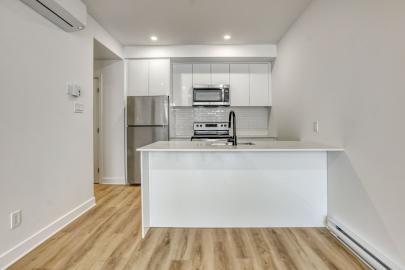 maison à vendre Montréal (Le Sud-Ouest) Rive-Nord